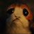 Marie Russo's profile image