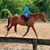 Kerri Leigh McFalls's profile image