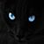 Pam Hofford's profile image