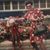 Lou N Sue Masella's profile image