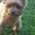 Jinda Tran's profile image