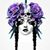 Amelia Whitted's profile image