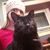 Laura Marie's profile image