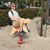 Justin Wootton's profile image