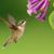 Annette Hill's profile image