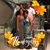 Lisa Ferrara Fortuna's profile image
