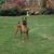 Joanie Gaddis's profile image