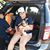 Victoria Adaly Morales's profile image