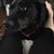 Janice Childers Jameson's profile image