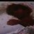 Jose Hernandez's profile image