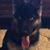 Cindy Garvin's profile image