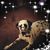 Angelo Vitalone Sr's profile image