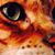 Stephanie Bohn's profile image