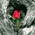 Tammy Poynter's profile image
