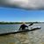 Sharon Grause's profile image