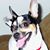 Sue Rivero's profile image