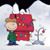 David Windle's profile image