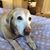 Patricia Mccarley's profile image