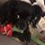 Mallory Trudell's profile image