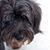 Liz Dixon's profile image