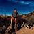 Carolyn Graf's profile image