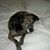 Candy Funderburk's profile image