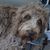 Marcia Stevens-Aldana's profile image