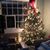 Shelly Blankenship's profile image