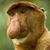 Michael Peck's profile image