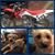 Elly Stodolsky's profile image