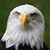 Jose Martinez's profile image