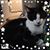 Pam Thomas's profile image