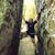 Jennifer Goodall's profile image