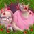 Thelma Eyestone's profile image