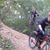 Matt Hamann's profile image