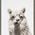 Amy Ramseyer-Leaman's profile image