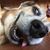 Laura Carriker Hopkins's profile image