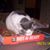 Kathy Bailey's profile image