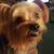 Claudie James's profile image