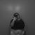 Asia Nicole Sanchez's profile image