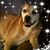 Stephanie Nickerson's profile image