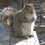 Marilyn Watson's profile image