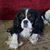 Doris Anderson's profile image
