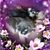 Irizarry Jacklyn's profile image