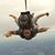 Bill Bischoff's profile image