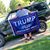 Anthony Placek's profile image