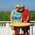Susan Indelicato's profile image
