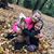 Tammy Lansing Noxon's profile image