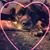 PamandFred Isaacs's profile image