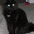 Sandy Threadgill's profile image
